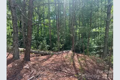Lot 19 Fawn Lane, Hayes, NC 28635 - Photo 4