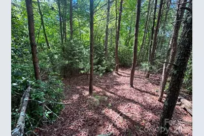 Lot 19 Fawn Lane, Hayes, NC 28635 - Photo 2