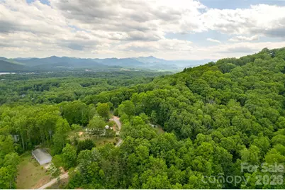 30 Gertrude Lane, Candler, NC 28715 - Photo 16