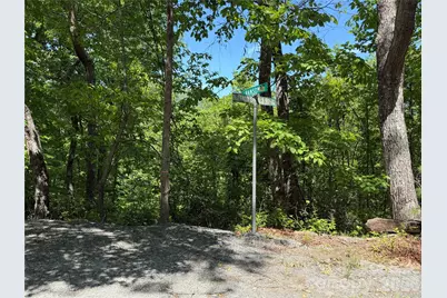 0 Buffalo Shoals Road #1, Lake Lure, NC 28746 - Photo 10