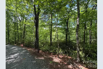 0 Buffalo Shoals Road #1, Lake Lure, NC 28746 - Photo 6