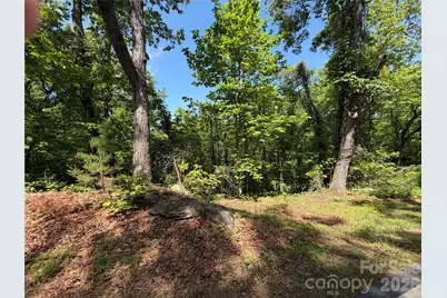 0 Buffalo Shoals Road #1, Lake Lure, NC 28746 - Photo 2