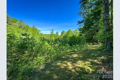 4111 Bobs Creek Road, Zirconia, NC 28790 - Photo 30
