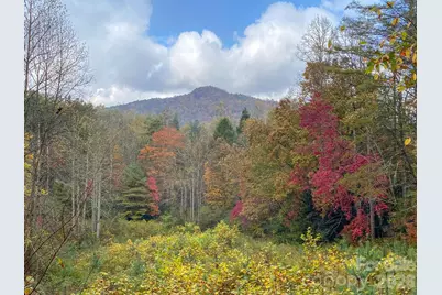 4111 Bobs Creek Road, Zirconia, NC 28790 - Photo 46