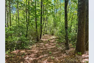 4111 Bobs Creek Road, Zirconia, NC 28790 - Photo 44