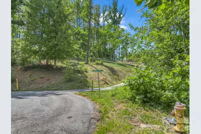 97 Longspur Lane, Asheville, NC 28804 - Photo 10
