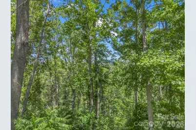 97 Longspur Lane, Asheville, NC 28804 - Photo 12