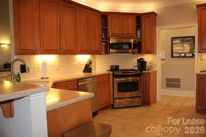 17404 Summer Place Drive, Cornelius, NC 28031 - Photo 2