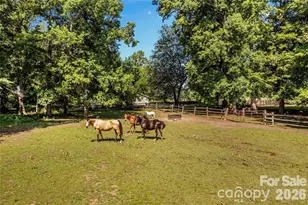 815 French Belk Rd, Mount Ulla, NC 28125 - Photo 14