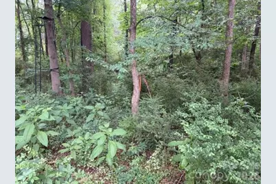 8838 Morgan Mill Road, Monroe, NC 28110 - Photo 4