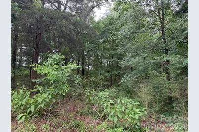 8838 Morgan Mill Road, Monroe, NC 28110 - Photo 6