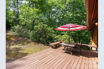 413 Green Hills Road, Mill Spring, NC 28756 - Photo 44