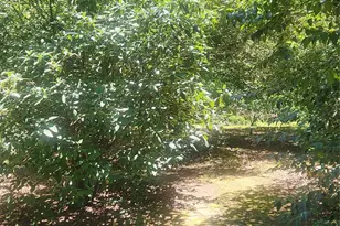 5510 Allen Rd E, Charlotte, NC 28269 - Photo 24