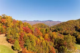 256 Haulback Wy, Sylva, NC 28779 - Photo 42