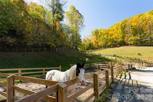 256 Haulback Wy, Sylva, NC 28779 - Photo 44