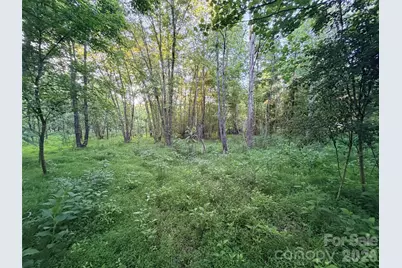 0 Morningstar Lake Road, Forest City, NC 28043 - Photo 10