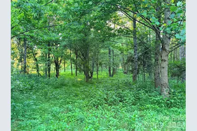 0 Morningstar Lake Road, Forest City, NC 28043 - Photo 8
