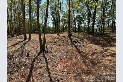 256 Long Leaf Pine Drive, Hiddenite, NC 28636 - Photo 10