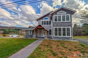 7854 E US Hwy 19E None, Burnsville, NC 28714 - Photo 4