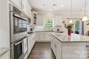 125 Annatto Way, Tega Cay, SC 29708 - Photo 6