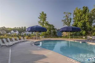 1633 Half Pint Loop, Fort Mill, SC 29708 - Photo 38
