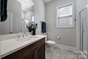 1633 Half Pint Loop, Fort Mill, SC 29708 - Photo 6