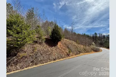 Lot 165 Pinegrove Drive #165, Bostic, NC 28018 - Photo 20