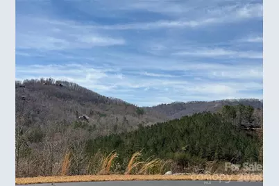 Lot 165 Pinegrove Drive #165, Bostic, NC 28018 - Photo 6