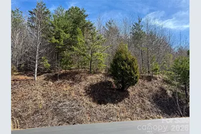 Lot 165 Pinegrove Drive #165, Bostic, NC 28018 - Photo 18
