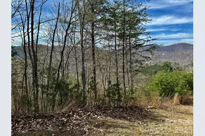 Lot 165 Pinegrove Drive #165, Bostic, NC 28018 - Photo 2