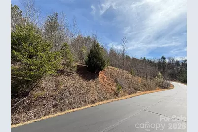 Lot 165 Pinegrove Drive #165, Bostic, NC 28018 - Photo 14