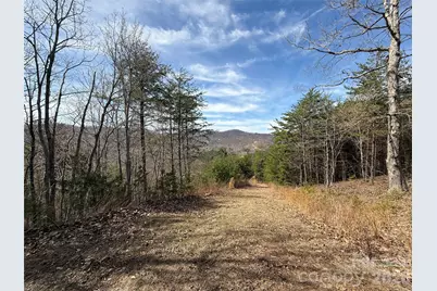Lot 165 Pinegrove Drive #165, Bostic, NC 28018 - Photo 4