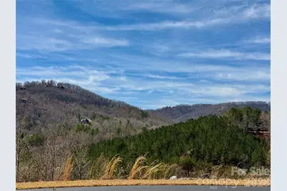 Lot 165 Pinegrove Drive #165, Bostic, NC 28018 - Photo 8