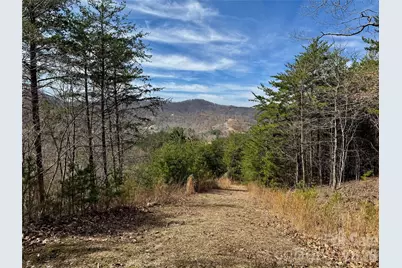 Lot 165 Pinegrove Drive #165, Bostic, NC 28018 - Photo 10