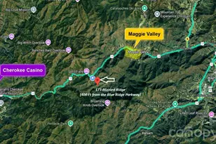173 Blizzard Ridge, Maggie Valley, NC 28751 - Photo 30