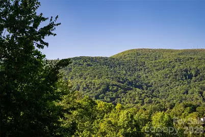 46 Nuthatch Court, Fairview, NC 28730 - Photo 38