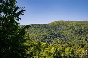 46 Nuthatch Ct, Fairview, NC 28730 - Photo 38