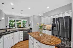 203 Elven Ct, Waxhaw, NC 28173 - Photo 12