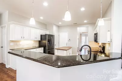 203 Elven Court, Waxhaw, NC 28173 - Photo 10