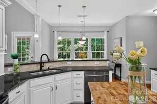 203 Elven Ct, Waxhaw, NC 28173 - Photo 14