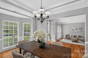 203 Elven Ct, Waxhaw, NC 28173 - Photo 6