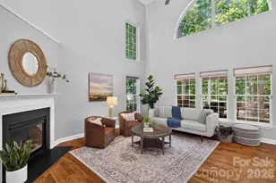 203 Elven Ct, Waxhaw, NC 28173 - Photo 8