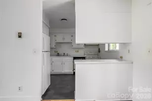 1 Beaverdam Knoll Rd, Asheville, NC 28804 - Photo 24