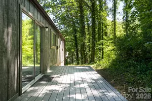 1 Beaverdam Knoll Rd, Asheville, NC 28804 - Photo 36