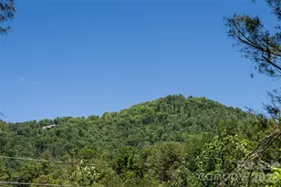1 Beaverdam Knoll Rd, Asheville, NC 28804 - Photo 40