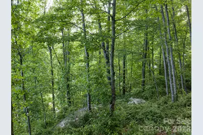 000 New Sprout Lane #2, Hendersonville, NC 28792 - Photo 28