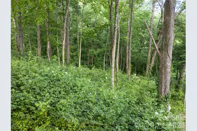 000 New Sprout Lane #2, Hendersonville, NC 28792 - Photo 8