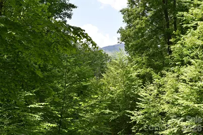 Lot 18 Covered Bridge Trail, Waynesville, NC 28785 - Photo 6