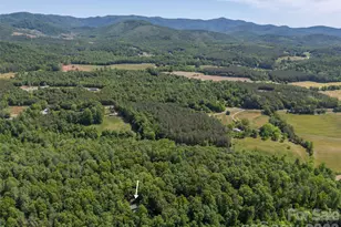 512 Indian Forest Dr, Bostic, NC 28018 - Photo 46