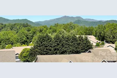 49 Kenai Trail, Waynesville, NC 28786 - Photo 24